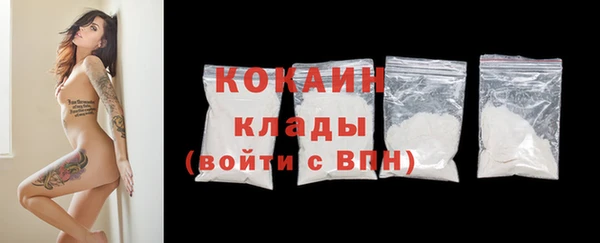 крисы Алзамай