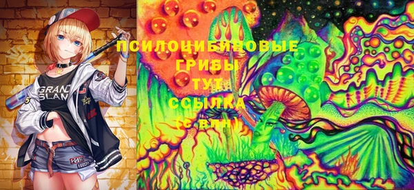 крисы Алзамай