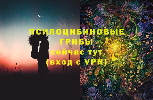 крисы Алзамай