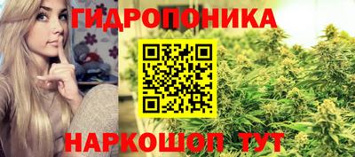mdpv Краснознаменск