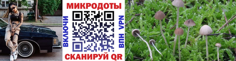 продажа наркотиков  Кемерово  Галлюциногенные грибы мицелий 